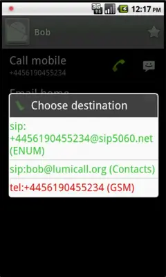 Lumicall android App screenshot 0